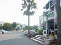 Osiers, South Africa - Home decor stores in South Africa